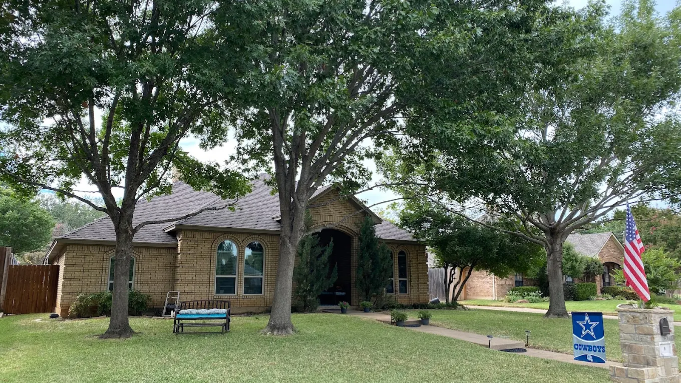 DFW home with healthy maintained trees after Tree Ops service