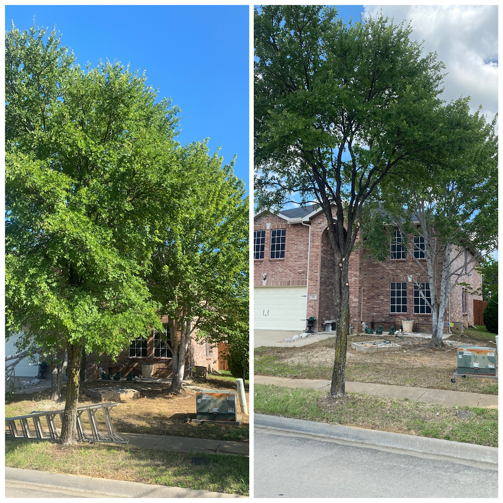 Before and after tree trim two story home DFW