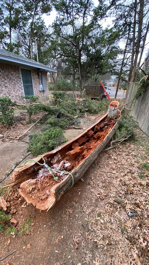 Storm split tree trunk removed by Tree Ops emergency service