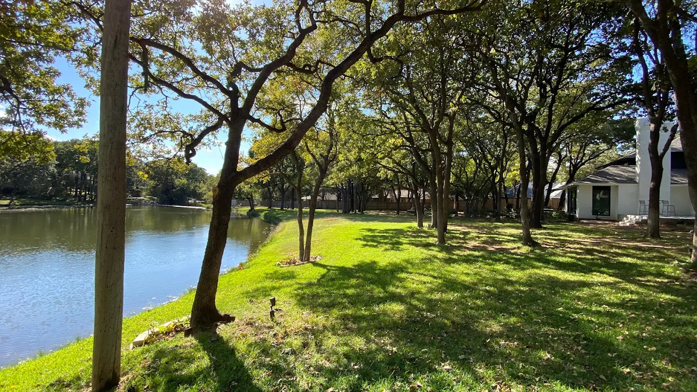 Beautifully maintained trees on a lakeside Arlington TX property serviced by Tree Ops